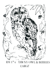Load image into Gallery viewer, Wholesale - Rubber Stampers – Owls
