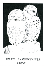 Load image into Gallery viewer, Wholesale - Rubber Stampers – Owls