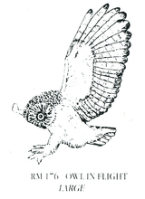 Load image into Gallery viewer, Wholesale - Rubber Stampers – Owls