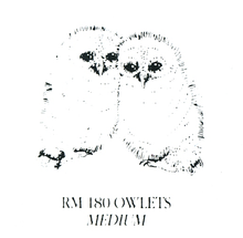Load image into Gallery viewer, Wholesale - Rubber Stampers – Owls