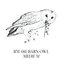 Load image into Gallery viewer, Wholesale - Rubber Stampers – Owls