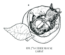 Load image into Gallery viewer, Wholesale - Rubber Stampers – Mice